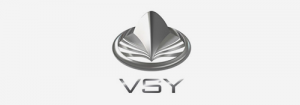vsy logo